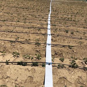 <span class=keywords><strong>Tuyau</strong></span> d'irrigation plat <span class=keywords><strong>perforé</strong></span> avec trous pré-perforés - Connecteur de ruban goutte-à-goutte prêt à l'emploi pour système <span class=keywords><strong>agricole</strong></span> - Product Image 2