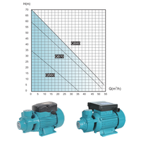 Pompe à eau de surface portable haute efficacité SN 1 pouce 0,55 kW 220 V QB70, mini-pompe de surpression pour l'irrigation
