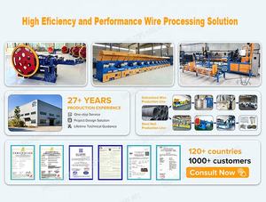 자동 고속 와이어 직경 축소 기계 탄소강 알루미늄 와이어 드로잉 머신 (철사 못, 메쉬 제작용) - Product Image 6