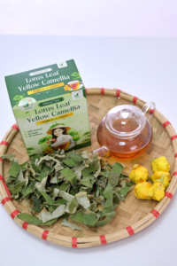 Tisane Premium pour la Réduction des Lipides Sanguins avec Feuille de Lotus et Camélia Jaune en Sachets – Boisson Saine Séchée - Product Image 5