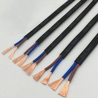 Câble d'alimentation plat souple à 2 conducteurs de 0,5 à 4 mm², gainé, en cuivre pur, pour éclairage LED, cordon d'alimentation automobile, projets de bricolage