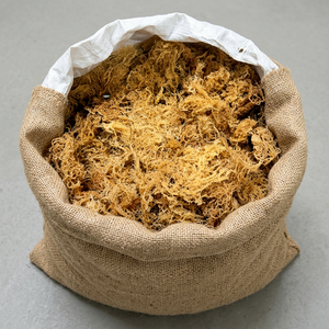 Musgo marino de alta calidad Eucheuma Cottonii musgo irlandés secado al sol SUMINISTRO DE Vietnam - Product Image 1