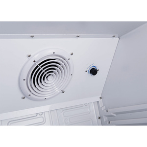 Réfrigérateur porte en verre unique, refroidisseur de boisson gazeuse, affichage Commercial, réfrigérateur vertical, à vendre - Product Image 6