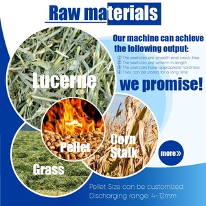 Richi Hot Bán 1-2t/h cỏ rơm hay PELLET bấm máy PELLET Mill pelletizer máy cho LUCERNE cỏ - Product Image 2