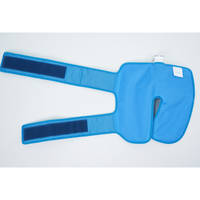Système de thérapie par compression froide électrique portable CRYOPUSH pour animaux, vétérinaire, équin, prévention des douleurs post-entraînement chez les chevaux