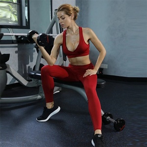 Nouveaux ensembles de sport pour femme en nylon sans couture, très demandés : leggings, soutiens-gorge de sport et tenues de yoga - Product Image 6