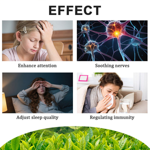 L-Teanina en Polvo 20% Extracto de Té Verde 98% <span class=keywords><strong>Puro</strong></span> Grado Alimenticio Soluble en Agua Compra al por Mayor Fábrica Envase en Botella o Tambor - Product Image 5