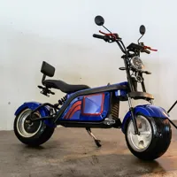 48V 1500W فرش السيارات البسيطة Citycoco دراجات كهربائية 3 ثلاثة ويلر الكهربائية الصين دراجة ثلاثية للكبار E-سكوتر