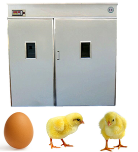 Máquina Incubadora de Huevos de Alta Eficiencia, Incubadora de Huevos de Emú, Fabricante de Incubadoras de Huevos de Gallina - Product Image 3