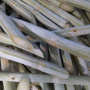 Liam อ้อยแช่แข็งแบบเวียดนามสดหั่นหวานสำหรับเครื่องดื่ม - Product Image 1