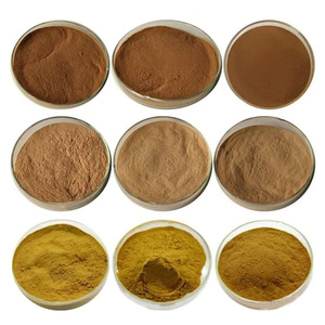 Gıda sınıfı sarımsak özü 10:1 suda çözünür konsantre toz CAS539-86-6 <span class=keywords><strong>Allicin</strong></span> tozu - Product Image 6