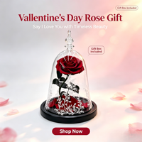 La Belle et la Bête - Fleur éternelle sous cloche en verre - Cadeau pour femme, petite amie - Décoration pour Thanksgiving, Noël et événements spéciaux
