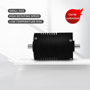 Высококачественный бесщеточный двигатель постоянного тока BLDC 30000 об/мин 48В, микро-двигатель BLDC IE4, прямые поставки от производителя - Product Image 5