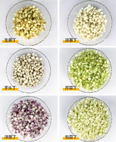 Commerciële groente- en fruitsnijder, -dicer en -slicer van roestvrij staal, elektrische hakselaar/dicer, capaciteit 70 kg/u, kubusvormig