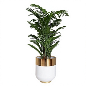 Pot de fleurs moderne en fer avec bordure dorée, pot de plantes d'intérieur, design blanc glacé, style minimaliste pour la décoration de la maison - Product Image 1
