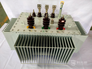 Nhà Máy Giá chống bảo dưỡng 650 KVA 630kva 1000kva điện áp cao ba giai đoạn dầu đắm mình biến áp - Product Image 6