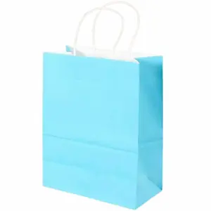 Quality Low Price Wholesale Price Thick Custom Printing Size Sky Blue Color Kraft Paper Bag With Handle