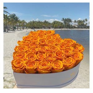 Regalo de Rosa preservada regalos novedosos para <span class=keywords><strong>san</strong></span> <span class=keywords><strong>valentin</strong></span> regalos para mujer <span class=keywords><strong>san</strong></span> <span class=keywords><strong>valentin</strong></span> regalos para <span class=keywords><strong>san</strong></span> <span class=keywords><strong>valentin</strong></span> 2023 - Product Image 6