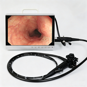 Instrumento Veterinario Reutilizable para <span class=keywords><strong>Gastroscopia</strong></span> a <span class=keywords><strong>Precio</strong></span> <span class=keywords><strong>de</strong></span> Fábrica, Dispositivo Médico, Colonoscopia, Endoscopio Veterinario Portátil - Product Image 2