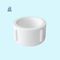 Raccord fileté femelle PVC UPVC BSP pour plomberie d'alimentation en eau