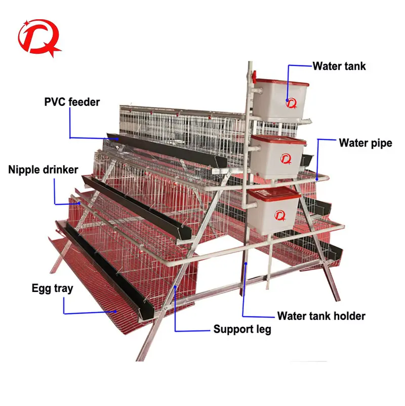 Cage de ferme à poulet en couche, vente en gros depuis l'usine,