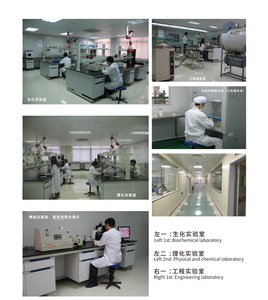 Polvere di Bacillus Amyloliquefaciens (Fermentazione in Stato Solido) 1000 Miliardi/g CFU 98% Tasso di Spore 8% Contenuto d'Acqua da Hubei - Product Image 6
