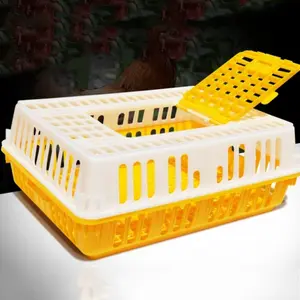 Cage de Transport des poules en plastique, 2 pièces, Cage de Transport des oiseaux