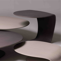 Table basse en bois au design incurvé, idéale pour les coins détente, les pauses café, les meubles de maison et les zones de réception