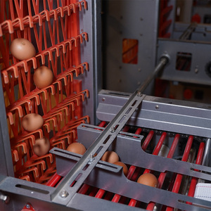 Cage de poulet <span class=keywords><strong>prête</strong></span> <span class=keywords><strong>à</strong></span> <span class=keywords><strong>pondre</strong></span> Cage de poulet pondeuse automatique au Nigeria - Product Image 5