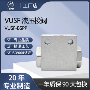 Válvula hidráulica de travesía TaiXin Vusf de 1/2 pulgada BSP, válvula de control direccional de dos vías para tubería de acero al carbono - Product Image 1