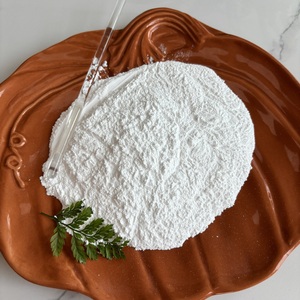 Carbonato di Magnesio CAS546-93-0 Anidro - Product Image 6