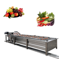 Draagbare wollenrol fruit- en groentewasmachine met transportband voor het wassen van gember en fruit.