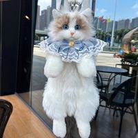 Sac à dos en peluche chat Ragdoll mignon, poupée apaisante, cadeau d'anniversaire pour filles, best-seller TikTok, idéal pour le dropshipping