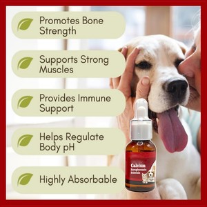 Gotas de Borogluconato de Calcio Pevet <span class=keywords><strong>para</strong></span> <span class=keywords><strong>Perros</strong></span>, Fórmula de Alta Absorción, Vitamina D3, Fortalece Huesos y Dientes, Fácil Dosificación - Product Image 4