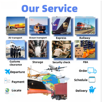 Service de livraison express DLEX sécurisé porte-à-porte pour Amazon FBA, dropshipping au Mexique, en Allemagne et dans le monde entier, avec assurance, assistance 24h/24 et 7j/7, LCL/FCL