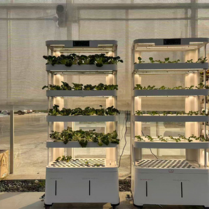 Système de jardinage hydroponique vertical intelligent d'intérieur Skyplant, système d'agriculture domestique intelligent avec composants de moteur et de pompe principaux - Product Image 2