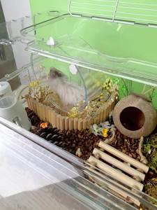 Cage à hamster en acrylique transparent-Grand manoir de villa à deux étages avec accessoires, habitat transparent à vue complète pour petits animaux - Product Image 5