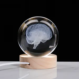 Clear Crystal Ball With 3D Laser Engraved Brain Model Glass Anatomical Brain Model Of Medical model Toy