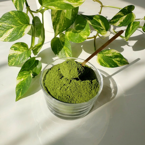 Polvo de Moringa Orgánico Rico en Hierro, Calcio, Proteínas y Antioxidantes |   Calidad de Exportación Premium |   Suministro al por Mayor - Product Image 1