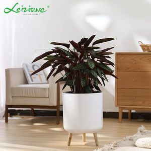 זול לבן גדול משקה עצמי גדול לגינון עזרי פרחים עם רגלי עץ קטן בינוני גדול - Product Image 3