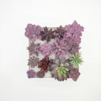 Ensemble de 15 faux succulentes violettes - Plantes artificielles réalistes pour la décoration de la maison et du jardin, parfaites pour les balcons et les tables