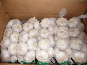 กระเทียมสด2025กระเทียมสด5.0 4.5ส่งออกจากประเทศจีน - Product Image 4