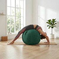 Housse de ballon de Pilates en velours côtelé de 65 cm avec poignée de transport, manchon amovible pour ballon d'exercice, logo personnalisé, fabricant d'usine