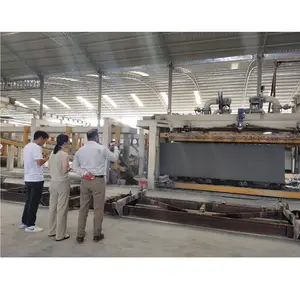 Autoclave automatica mattoni di calcestruzzo aerato e linea di pannello utilizzato pannello aac e impianto In Bangladesh