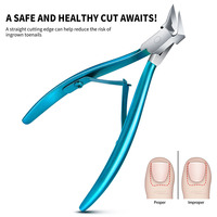Ciseaux professionnels bleus en acier inoxydable forme de bec d'aigle rainure barbe coupe-ongles outil pour ongles dissolvant de peau morte pinces à ongles