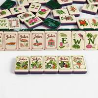 Dschungel-Abenteuer Tropisches Amerikanisches Mahjong-Set 160 Stück Acryl, mit Gravierten Tiermotiven, inklusive Matte und Tasche