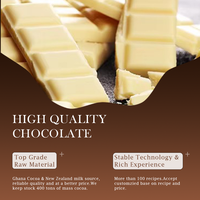 Barre de chocolat Halal de haute qualité, personnalisée, pur/composé, fournitures de chocolat au lait blanc foncé, de marque privée, vente en gros