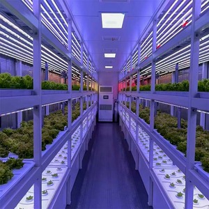 Intelligent hydroponic system, LED grow light, climate control for lettuce spinach high yield leafy vegetable container farm - Product Image 5
