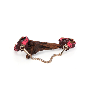Ensemble de Contrainte de Punition à Changement de Température avec Bracelet, <span class=keywords><strong>Bande</strong></span> de <span class=keywords><strong>Cheville</strong></span> et Collier - Jeu SM Fouet pour Jouets BDSM pour Adultes - Product Image 2