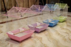 Lüks Metal Tel Kuş Kafesleri, Sultan Papağanları ve Muhabbet Kuşları için El Yapımı - Product Image 6